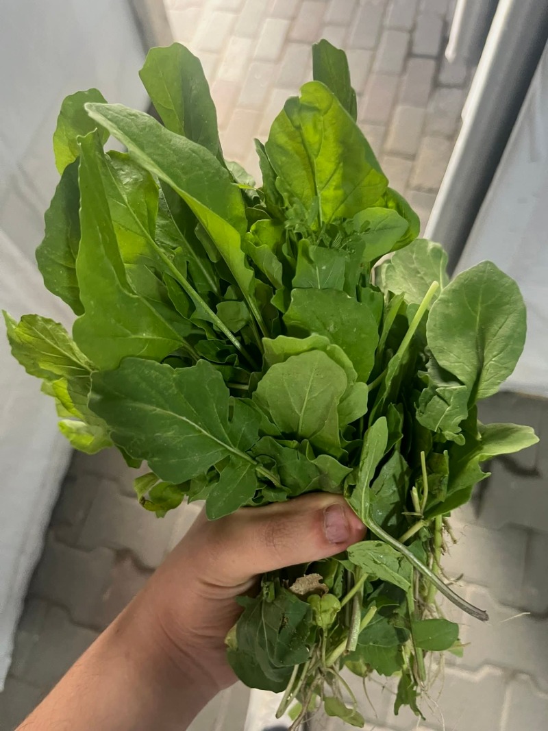 FB_IMG_1752007174645