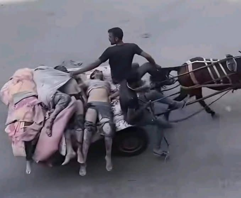 FB_IMG_1751855020414